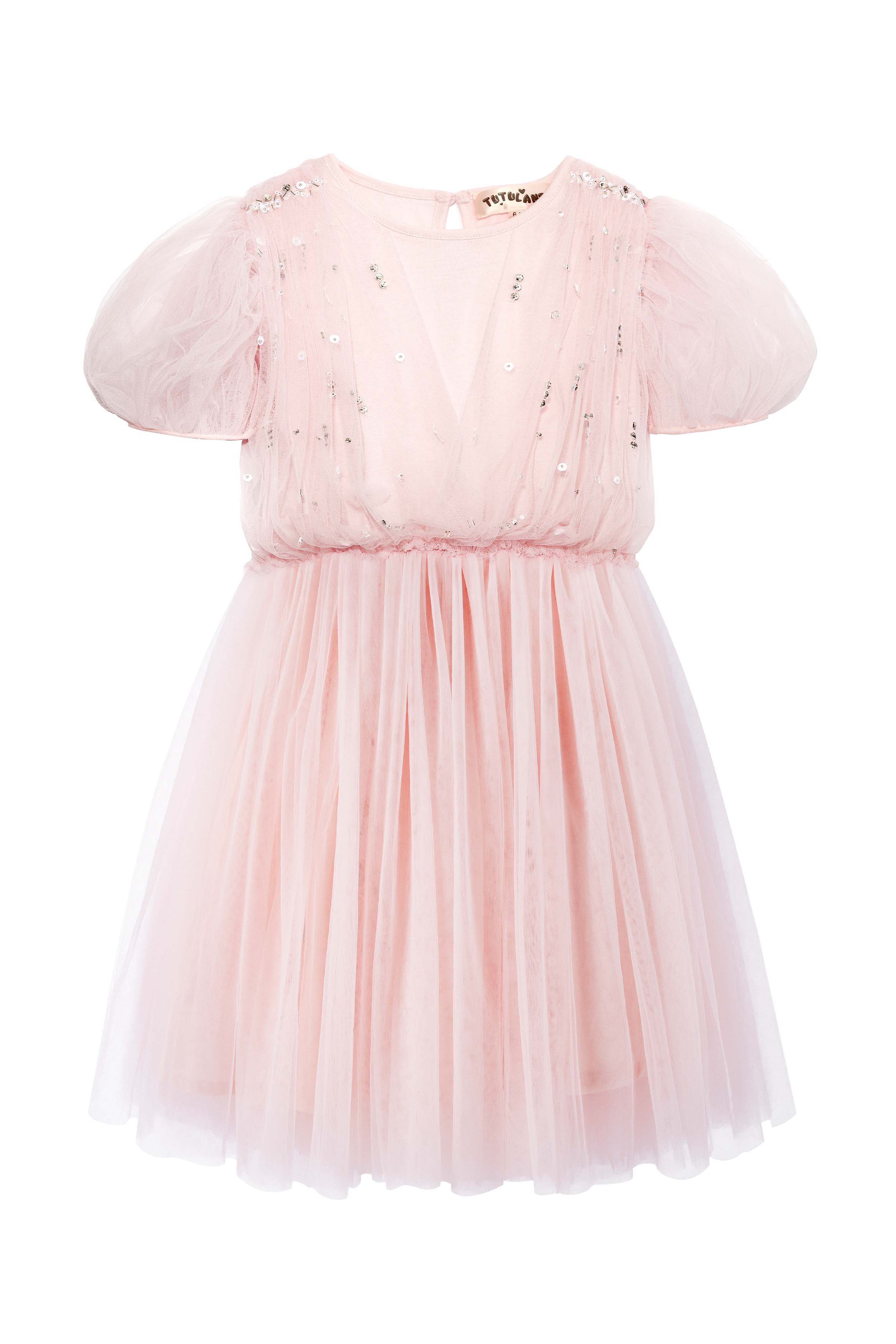 Whimsical Puff Sleeve Tulle Tutu Dress