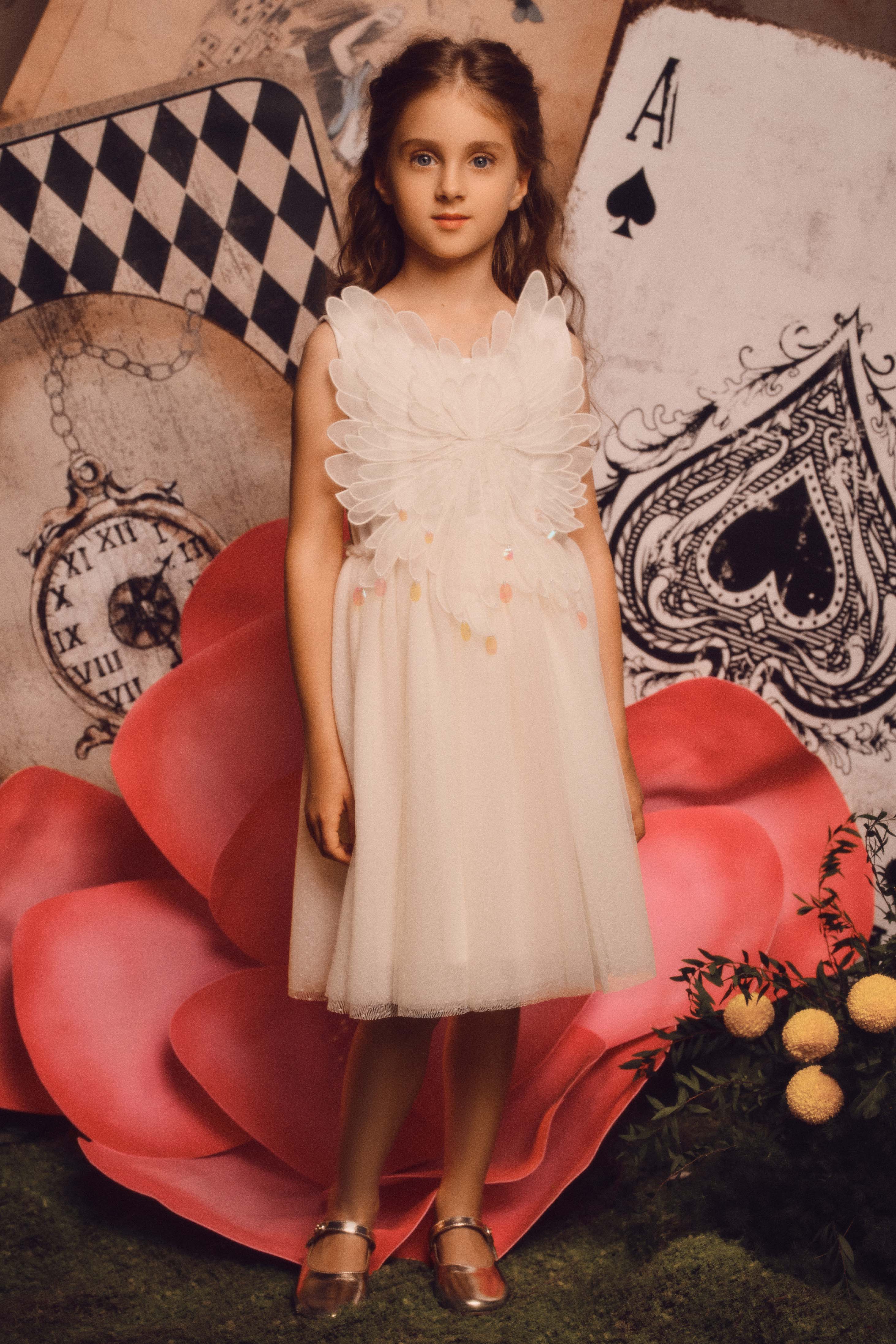 Charming Layered Wing Tulle Tutu Dress