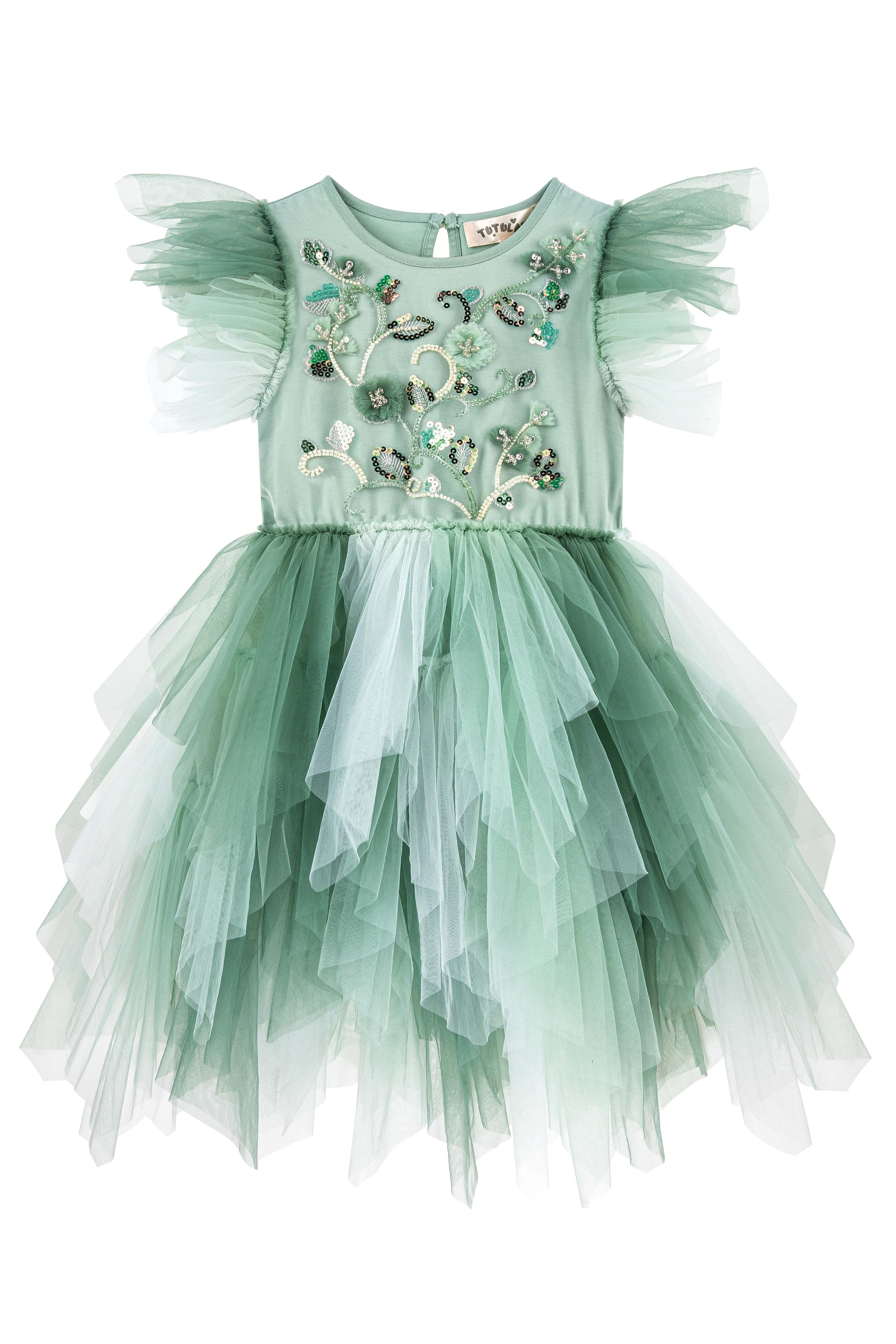 Embroidered Flower Tulle Tutu Dress