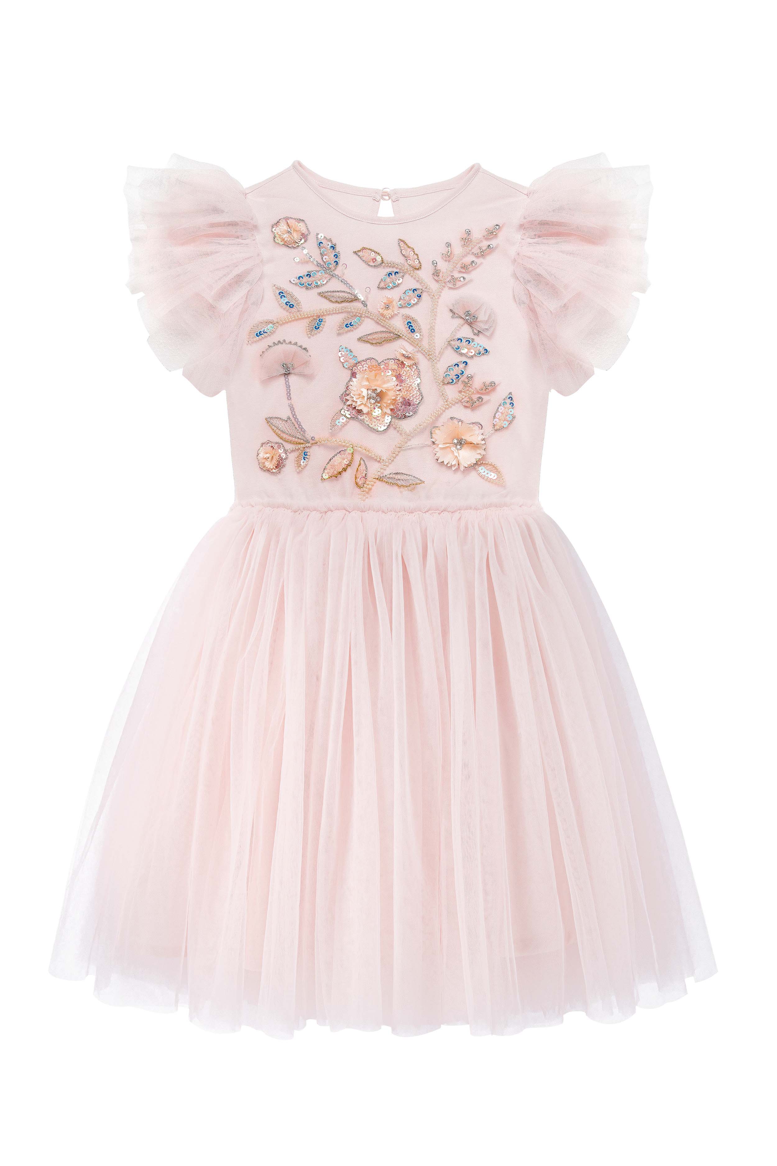 Embroidered Lace Flower Fairy Tutu Dress