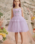 Vibrant Embroidered Tulle Tutu Dress