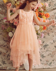 Whimsical Layered Tulle Tutu Dress