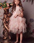 Glittering Layered Tulle Tutu Dress