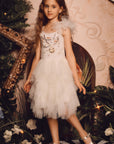 Adorable Layered Tulle Tutu Dress