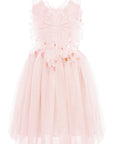 Charming Layered Tulle Tutu Dress