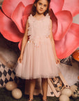 Charming Layered Tulle Tutu Dress