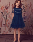 Dreamy Sequin Layered Tulle Tutu Dress