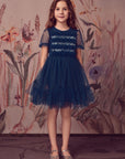 Dreamy Sequin Layered Tulle Tutu Dress