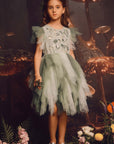 Embroidered Flower Tulle Tutu Dress