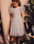 Charming Embroidered Flower Tutu Dress