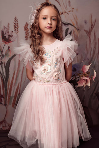 Embroidered Lace Flower Fairy Tutu Dress