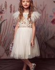 Whimsical Embroidered Flower Fairy Tutu Dress