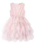 Glittering Layered Tulle Tutu Dress