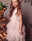 Glittering Layered Tulle Tutu Dress