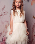 Elegant Layered Tulle Tutu Dress