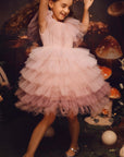 Gradient Tiered Tulle Fairy Tutu Dress