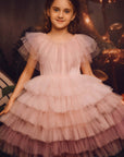 Gradient Tiered Tulle Fairy Tutu Dress