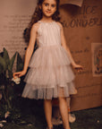 Halter Neck Tiered Tulle Toddler Dress