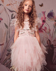 Delightful Flutter Sleeves Tutu Dress