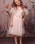 Whimsical Puff Sleeve Tulle Tutu Dress