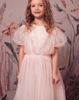 Whimsical Puff Sleeve Tulle Tutu Dress