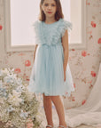 Adorable Pearl Layered Tulle Dress