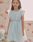 Adorable Pearl Layered Tulle Dress