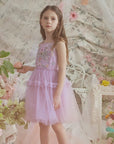 Vibrant Embroidered Tulle Tutu Dress