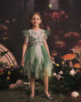 Embroidered Flower Tulle Tutu Dress