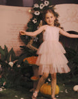 Halter Neck Tiered Tulle Toddler Dress