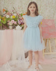 Vibrant Embroidered Flutter Sleeves Tutu Dress