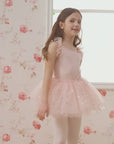 Sparkling Sequin Tulle Toddler Dress