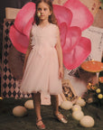 Charming Layered Tulle Tutu Dress